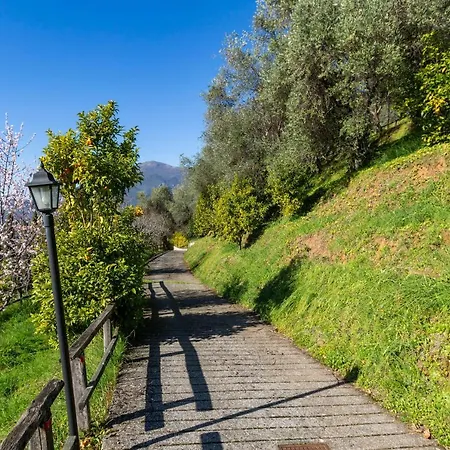 Collealceppo - Residenza Selvadonia - Piscina Panoramica, 13 Km. Dal Mare * Montemagno (Lucca)