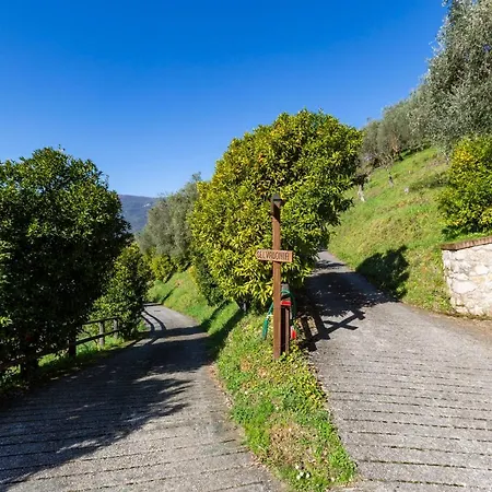 Collealceppo - Residenza Selvadonia - Piscina Panoramica, 13 Km. Dal Mare * Montemagno (Lucca)
